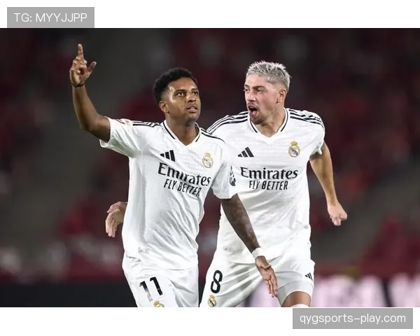 维尼修斯与罗德里戈角色定位与实战影响力对比分析